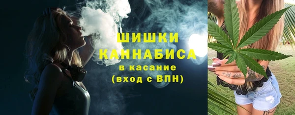 трава Инта