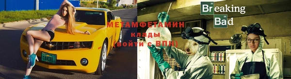 трава Инта