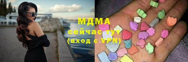трава Инта