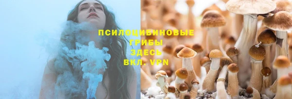 трава Инта