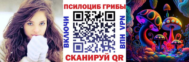 Купить где  Болгар  Псилоцибиновые грибы Magic Shrooms 