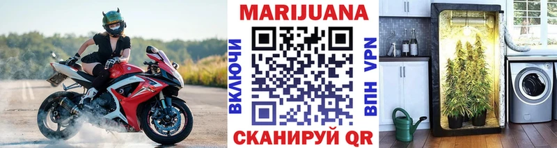 Бошки Шишки планчик  Купить где  Болгар 